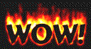 1afi011k.gif (38158 bytes)