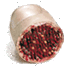 faq-right.gif (3650 bytes)